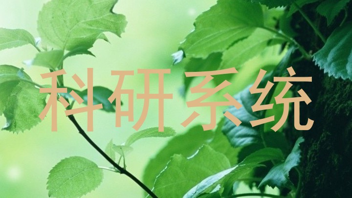 科研系统