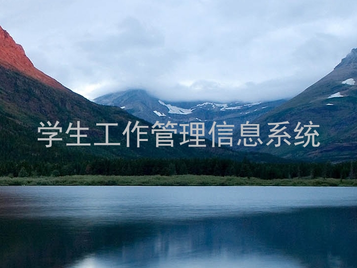 学生工作管理信息系统