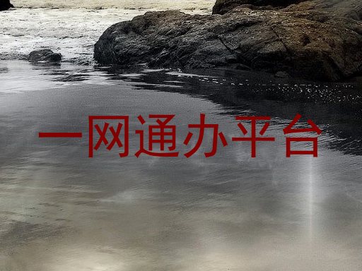 一网通办平台