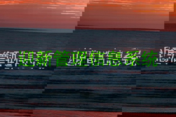 迎新管理信息系统