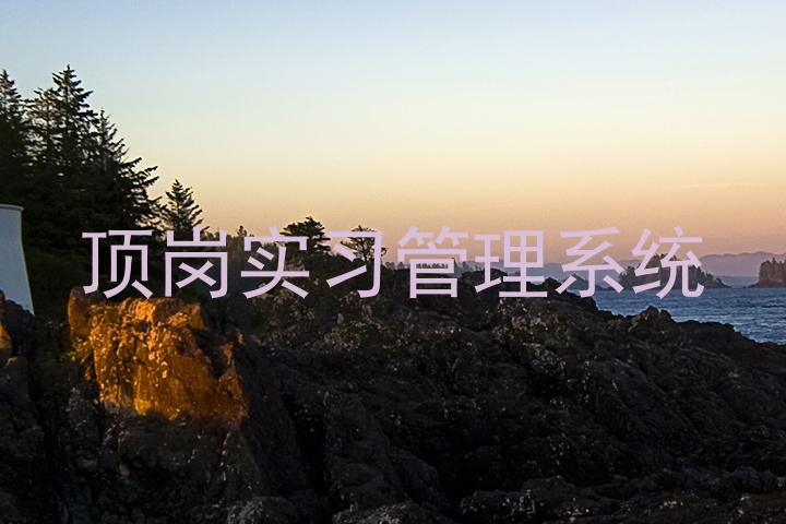 頂崗實(shí)習(xí)管理系統(tǒng)