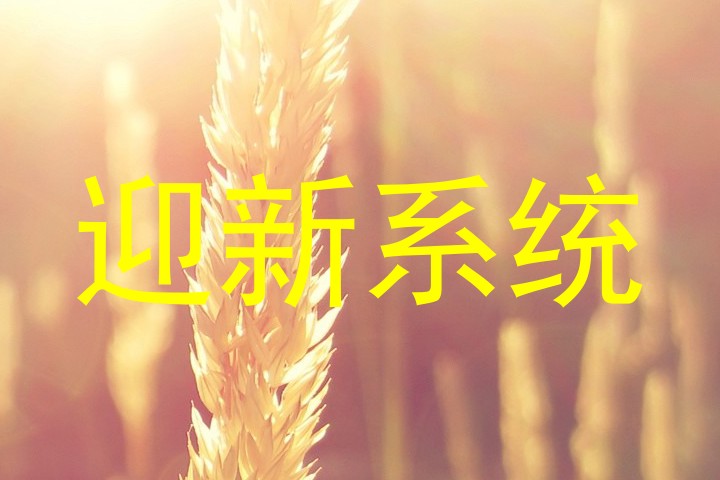 迎新系统