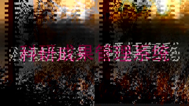 科研成果管理系统