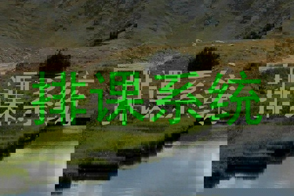 排课系统