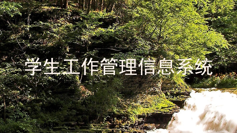 学生工作管理信息系统