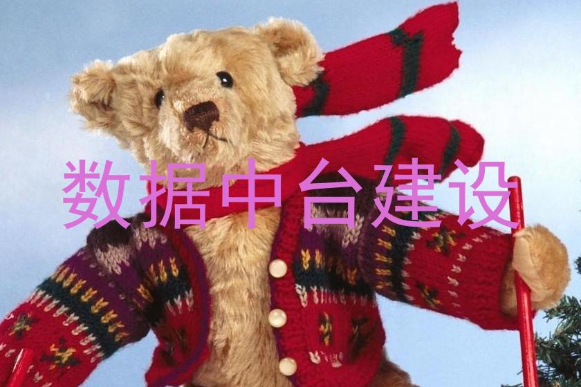 数据中台建设