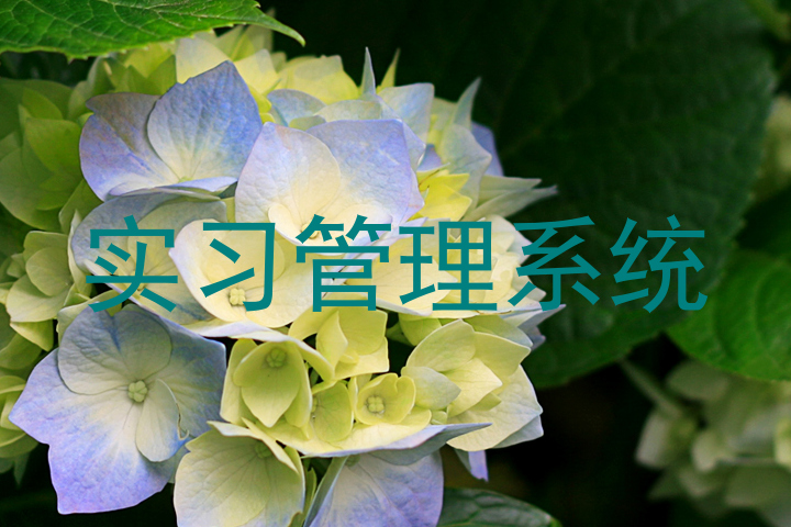 实习管理系统