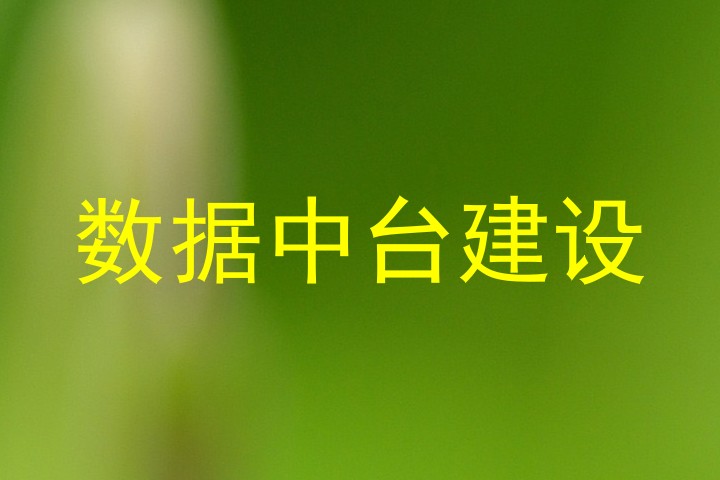 数据中台建设