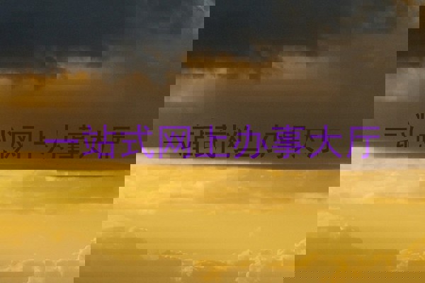 一站式网上办事大厅