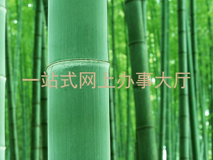 一站式网上办事大厅