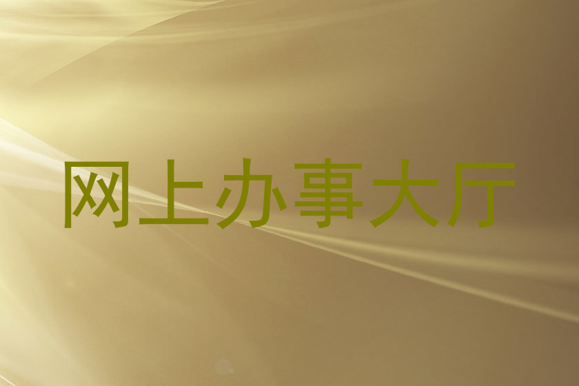 网上办事大厅