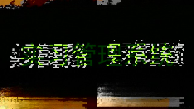 實(shí)習(xí)管理系統(tǒng)