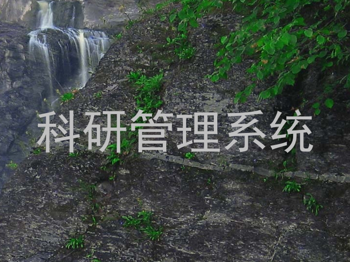 科研管理系统
