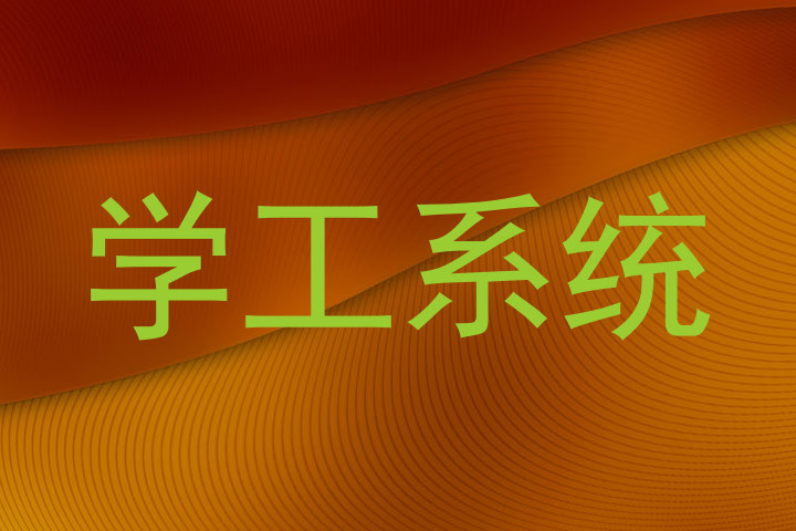 学工系统