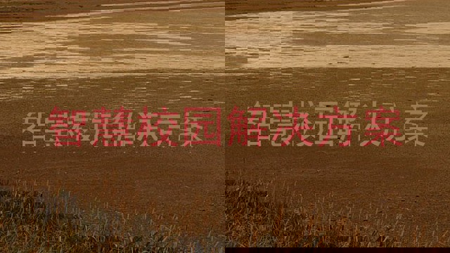 智慧校园解决方案