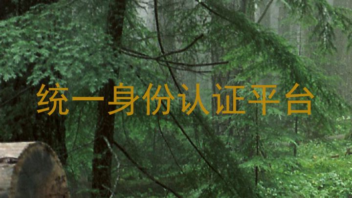 统一身份认证平台