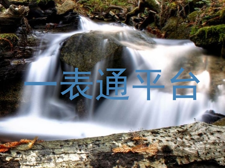 一表通平台