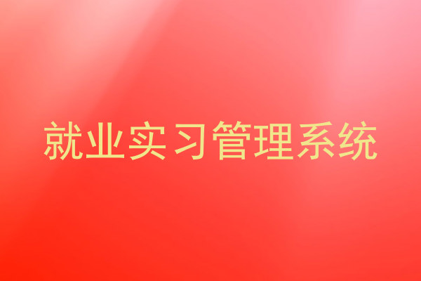 就业实习管理系统