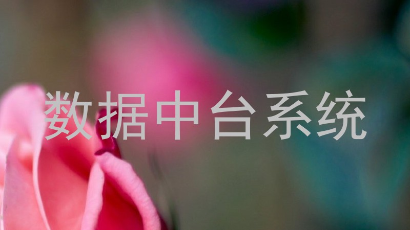 数据中台系统
