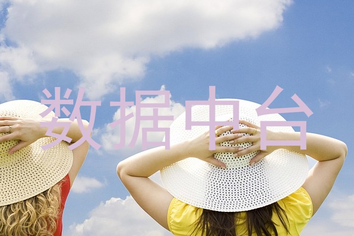 数据中台