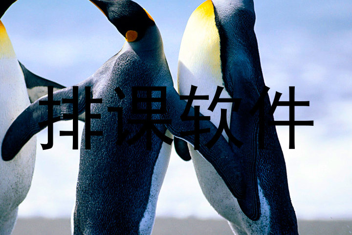排课软件