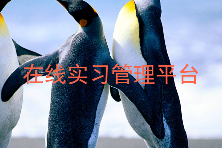 在線實習管理平臺