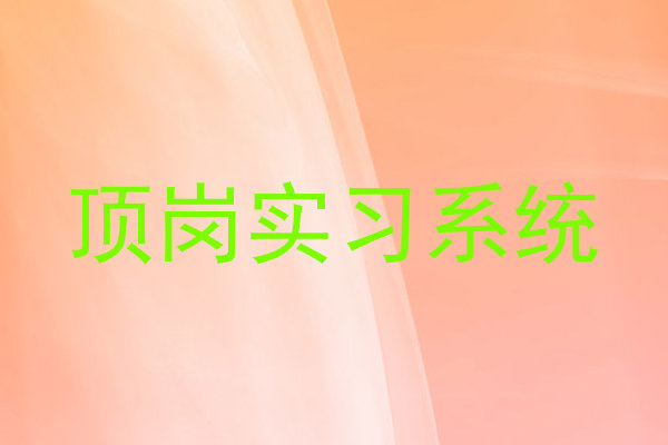 顶岗实习系统
