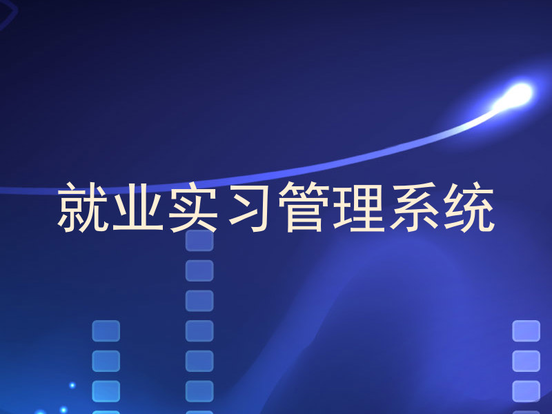 就业实习管理系统