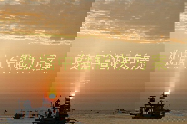 数据中台解决方案