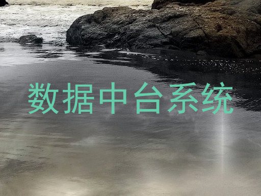 数据中台系统
