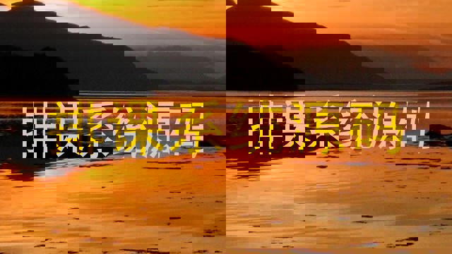 排课系统源码