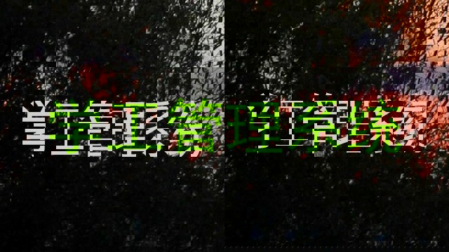 学工管理系统