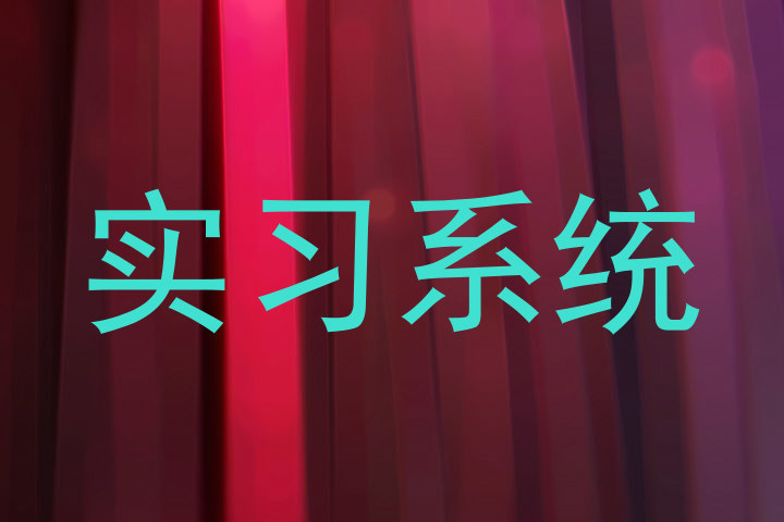 实习系统