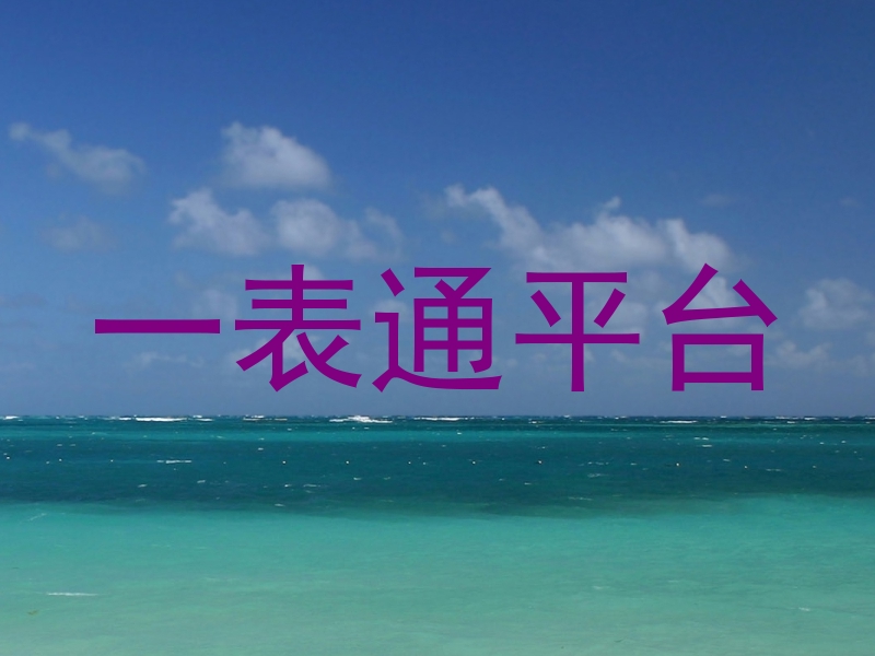 一表通平台