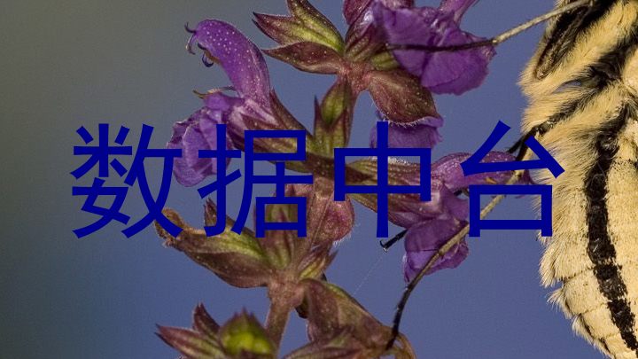 数据中台