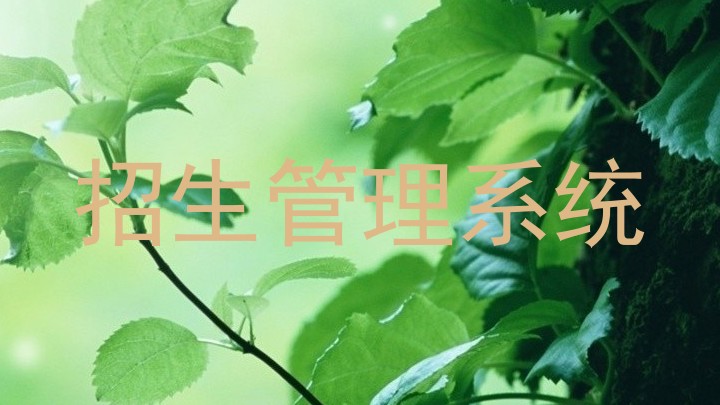 招生管理系統(tǒng)