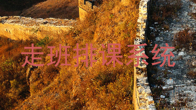 走班排课系统