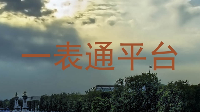一表通平台