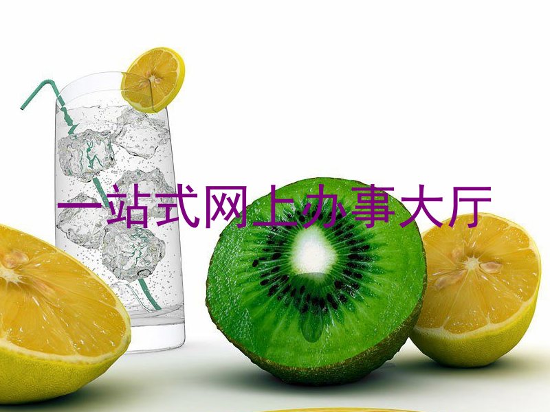 一站式网上办事大厅