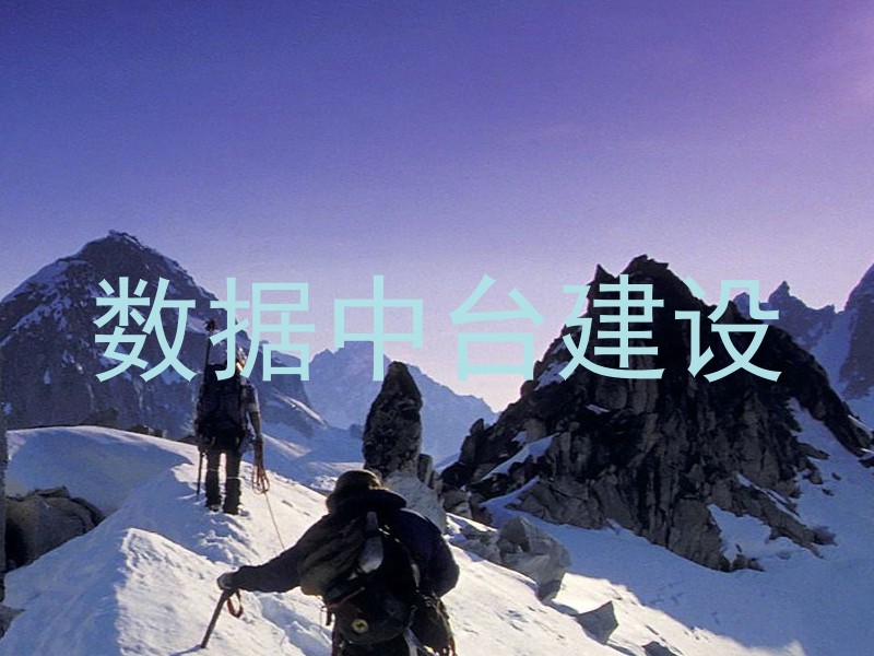 数据中台建设