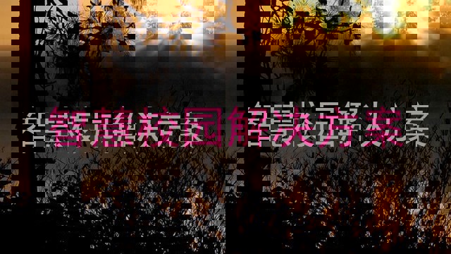 智慧校园解决方案