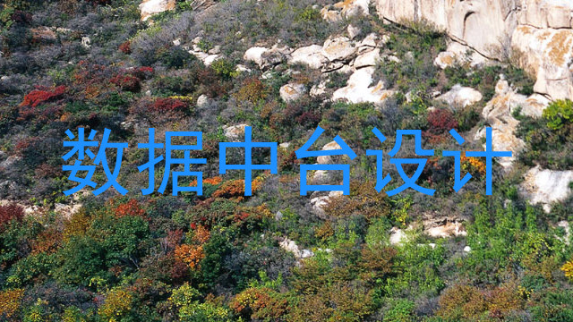 数据中台设计