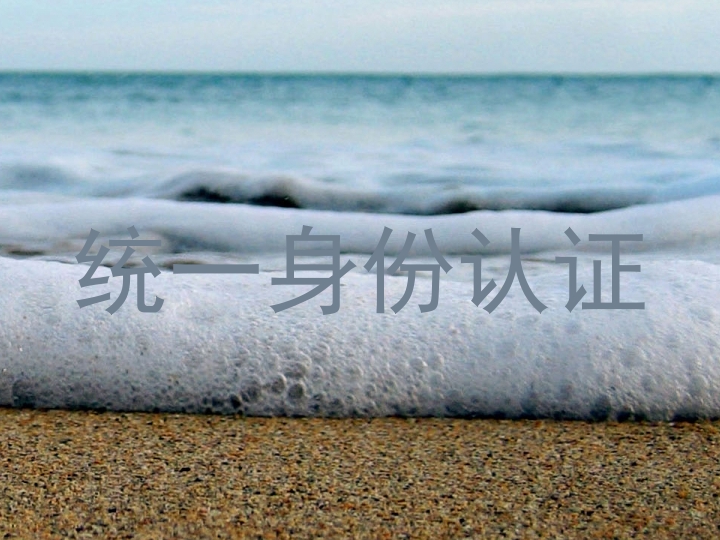 统一身份认证