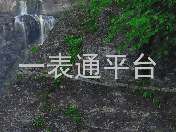 一表通平台