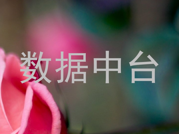 数据中台