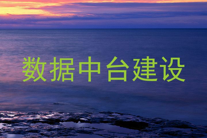 数据中台建设