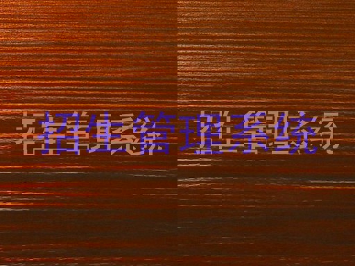 招生管理系統(tǒng)