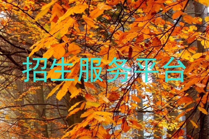 招生服務(wù)平臺