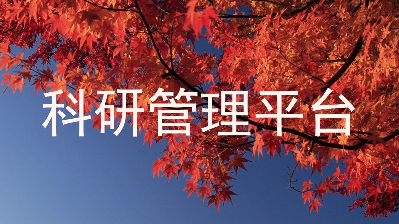 科研管理平台