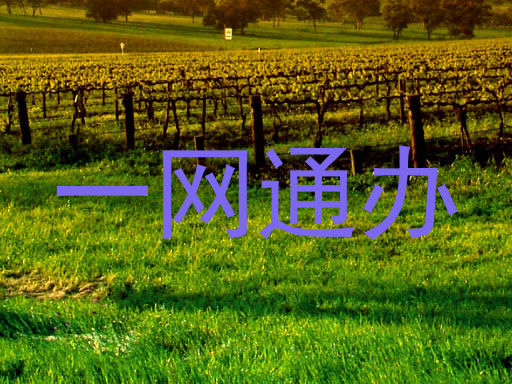 一网通办
